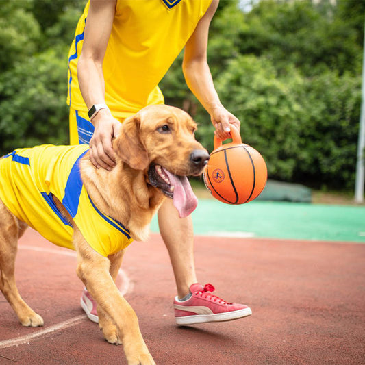 Jianbao ball and bite-resistant dog toy