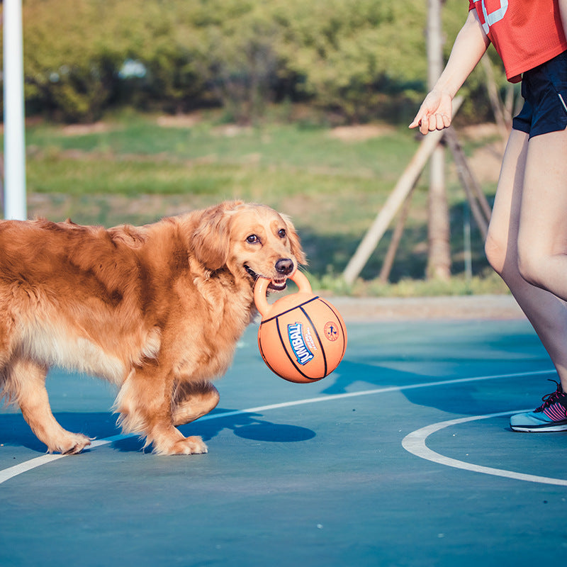 Jianbao ball and bite-resistant dog toy