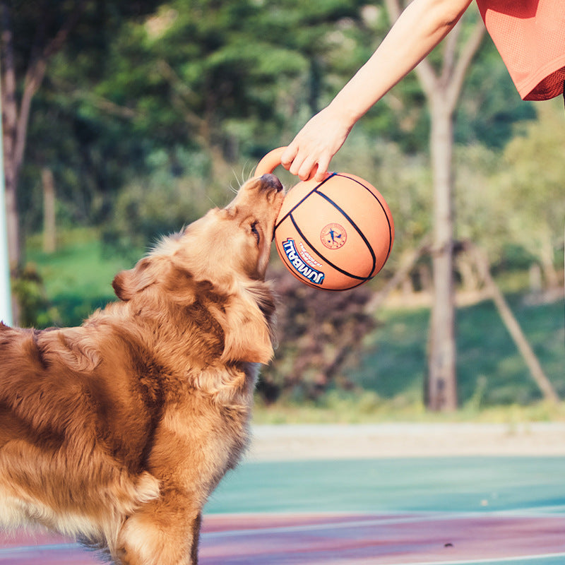 Jianbao ball and bite-resistant dog toy