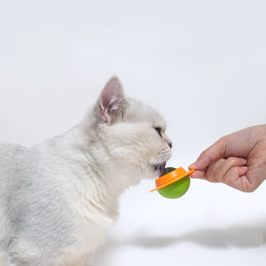 Suction Cup Fixed Interactive Cat Toy